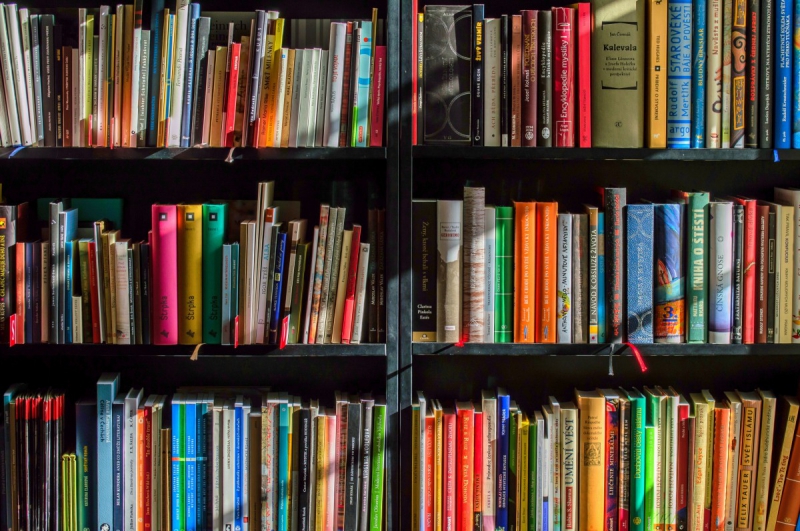 boutique-LA BASTIDE-min_books_bookstore_book_reading_shop_writer_sale_books_read-822866